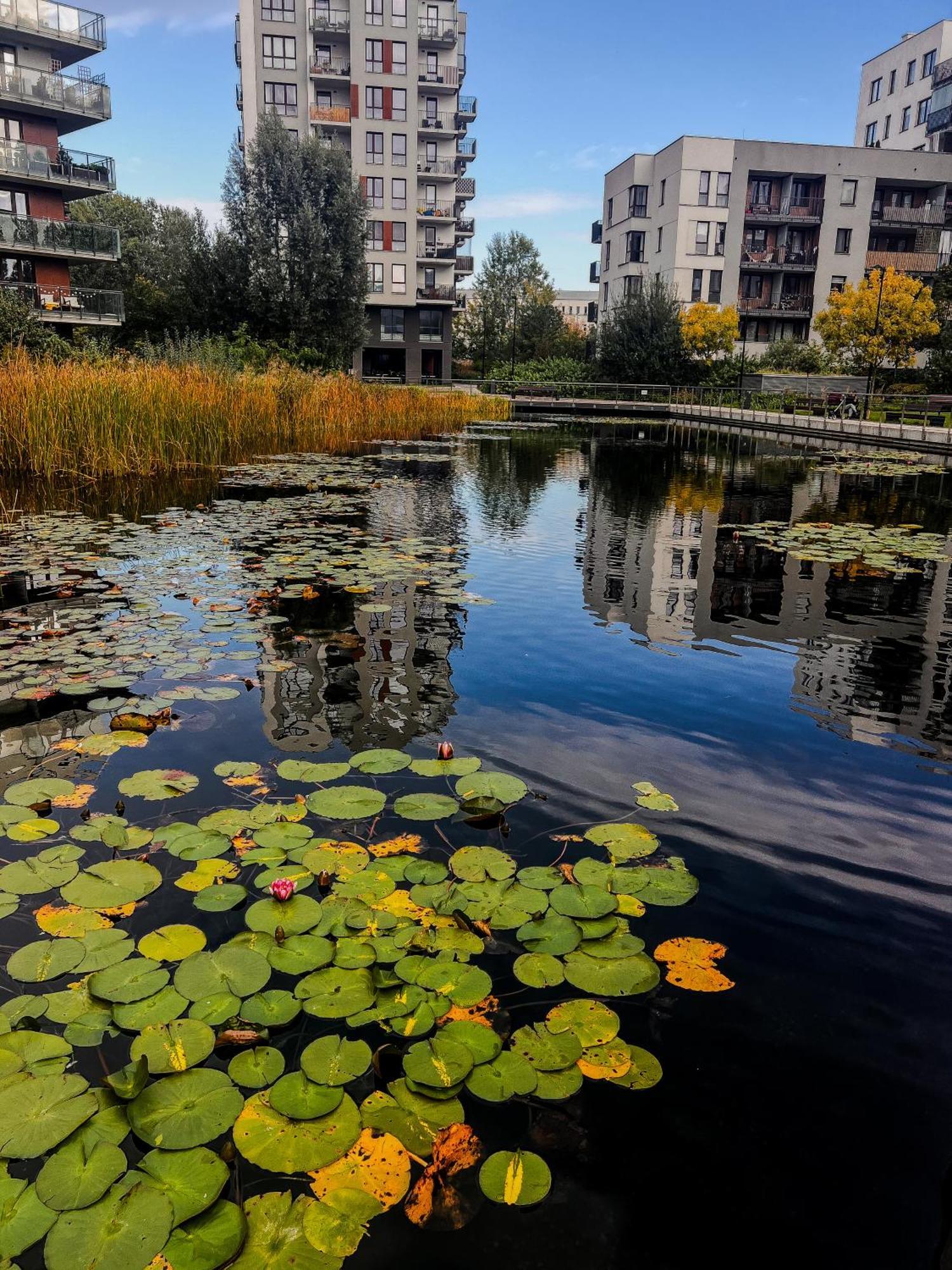 Lake Park Apartament With Free Parking Airport Netflix Apartment วอร์ซอ ภายนอก รูปภาพ
